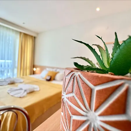 公寓 Menada Miramar Palace 阳光海滩