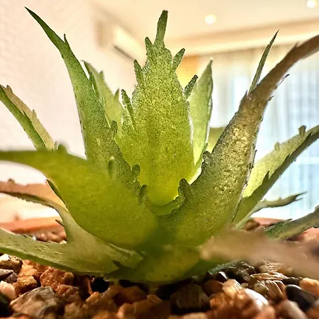 Appartamento Menada Miramar Palace Sunny Beach