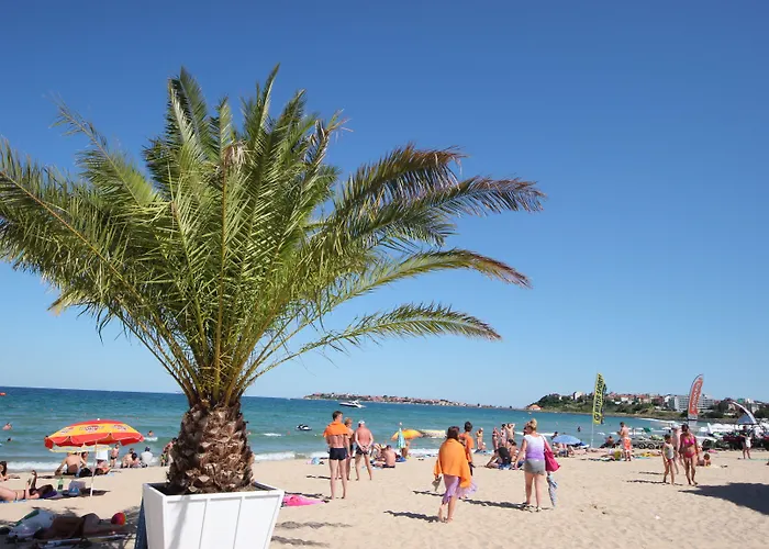 Menada Miramar Palace *