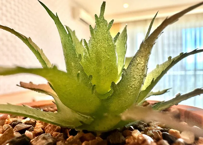 Apartment Menada Miramar Palace Sunny Beach